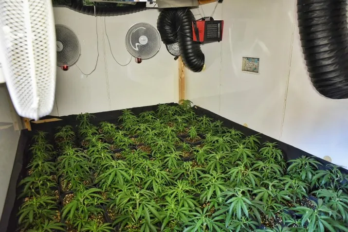 mobiele hennepkwekerij 1