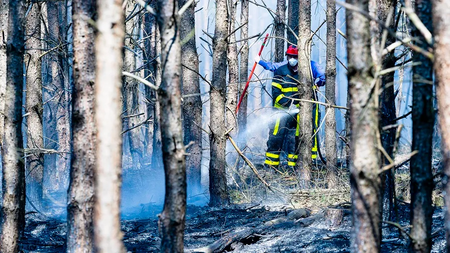 natuurbrand esbeek