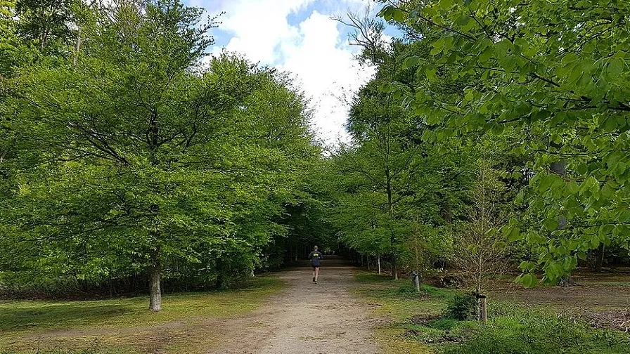 oude warande b4c2d8c326