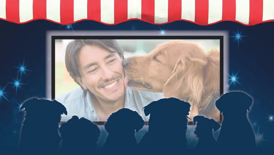 pers dierendag2019 ac 1 915x518