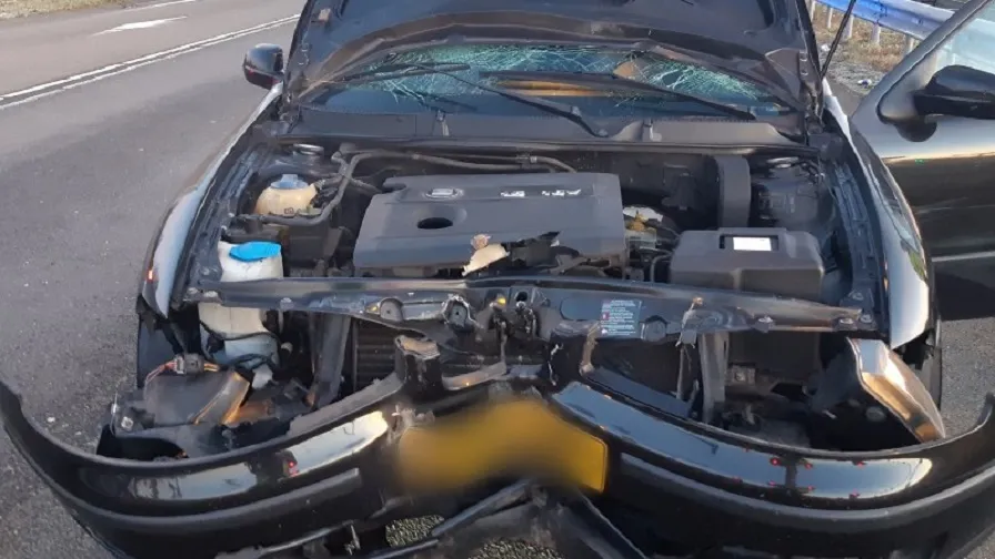 point blur mar062021 102049