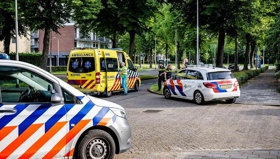 postelse hoeflaan
