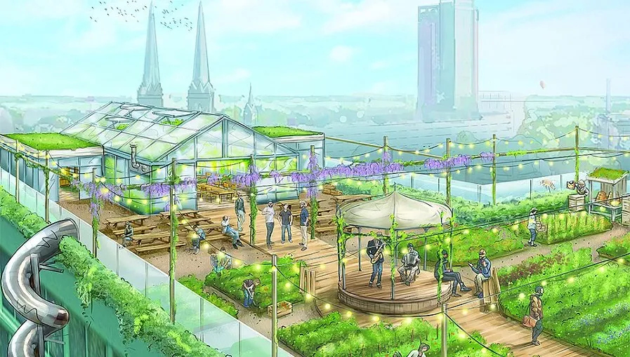 rooftop rumour praatplaat 4322918beb