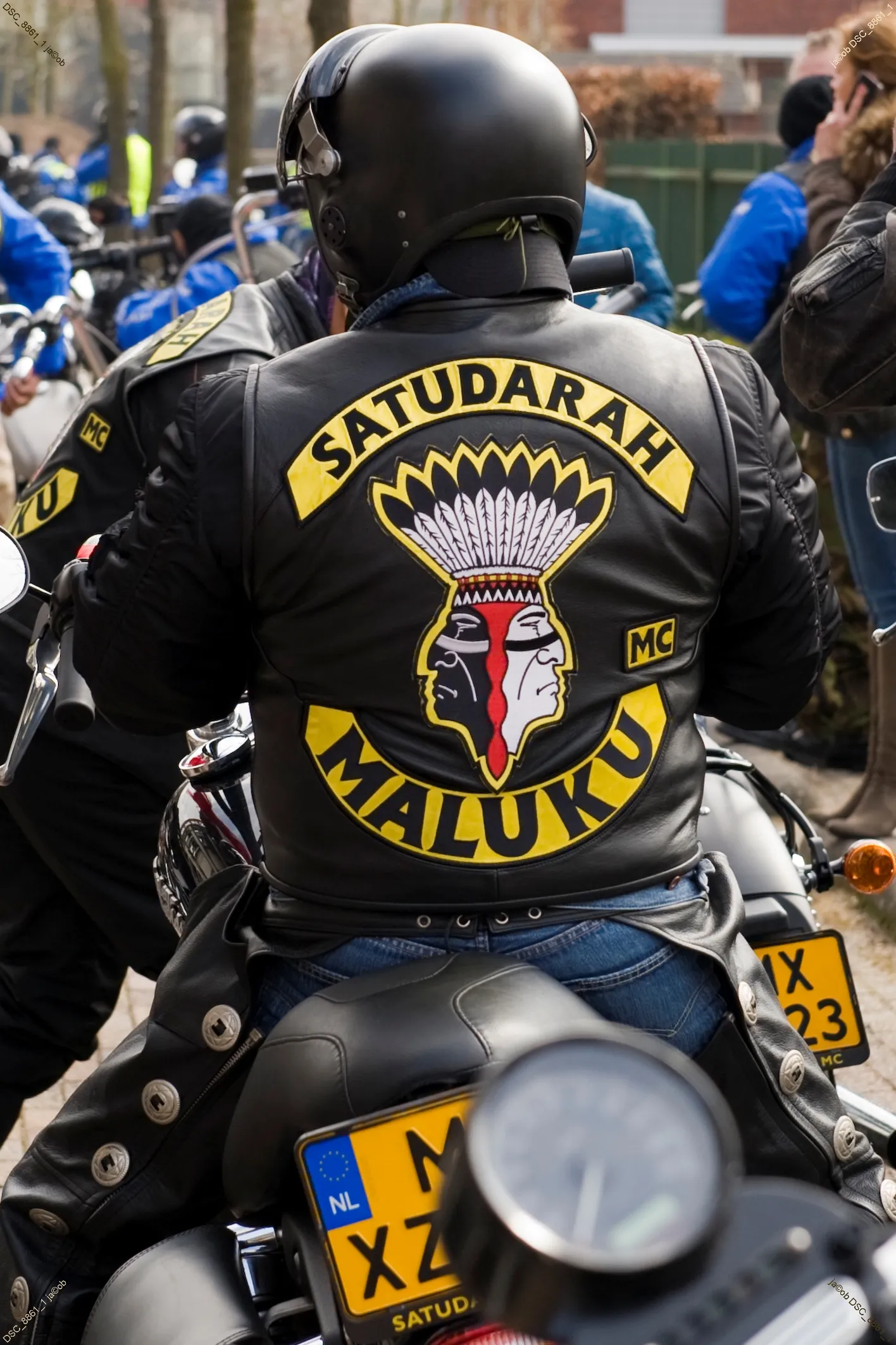 satudarah