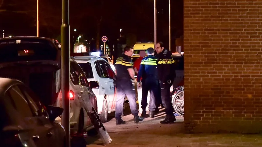 steekpartij lage witsiebaan