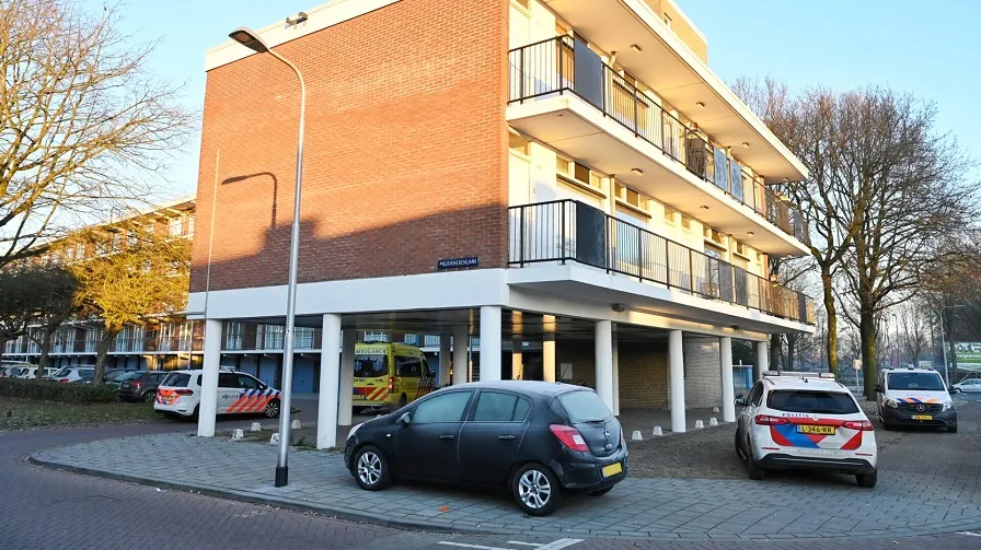 steekpartij predikherenlaan