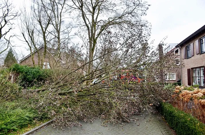 stormschade tilburg