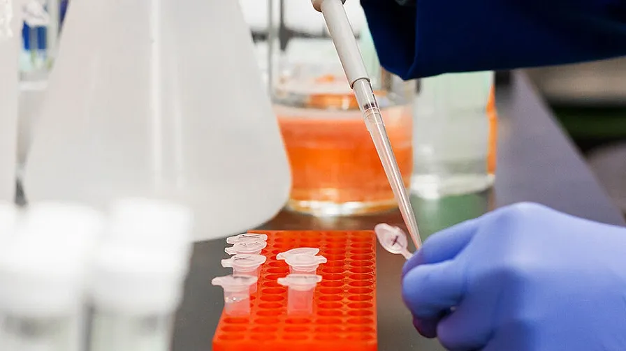 testen corona d92f27db78