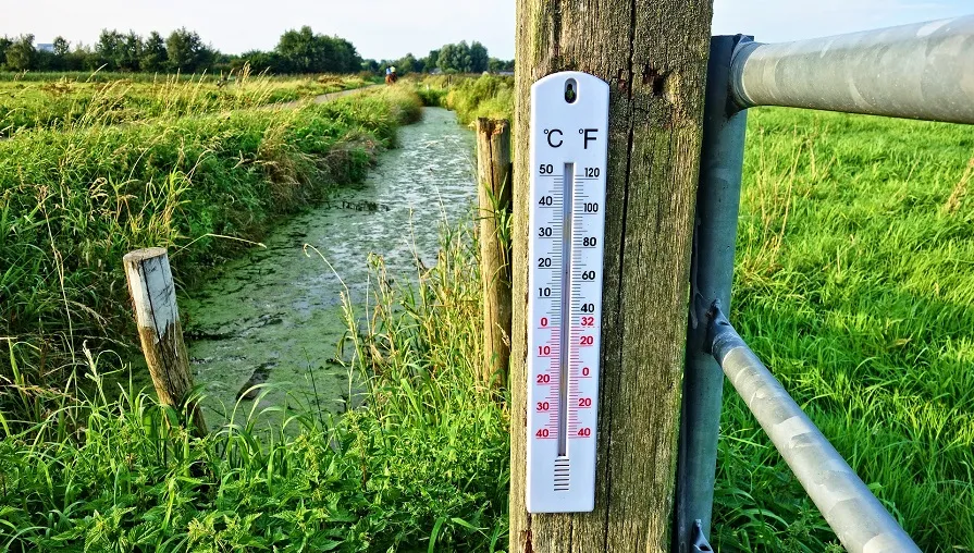 thermometer 2906817 1920