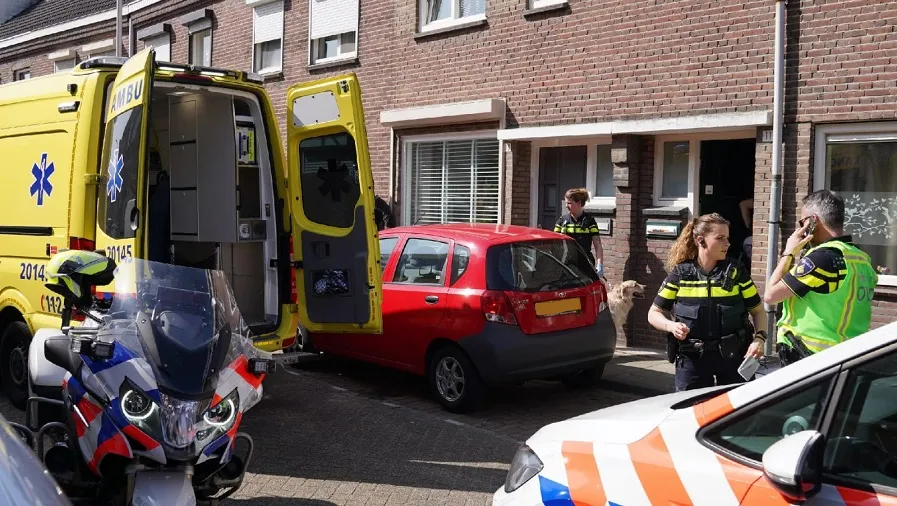 tilburg 11