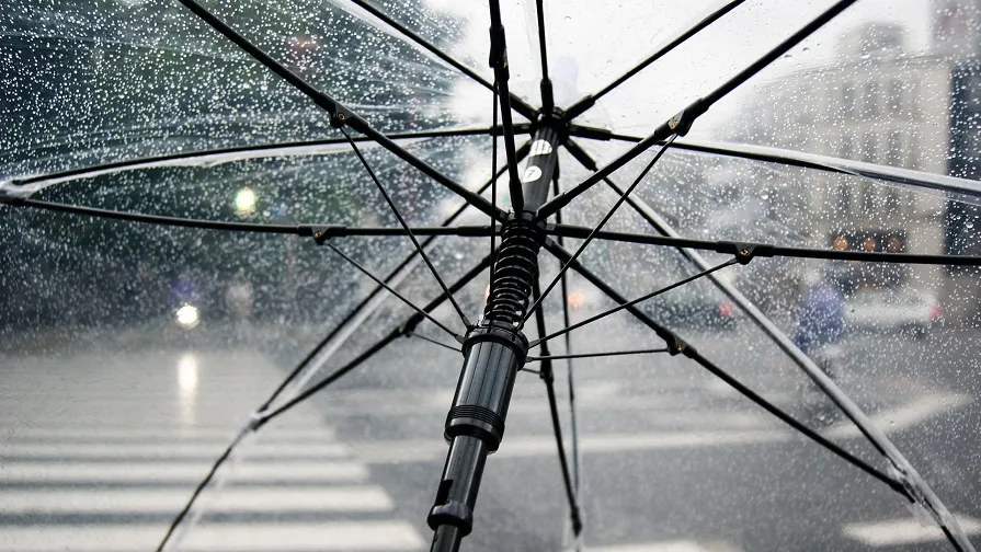 umbrella 4425160 1920