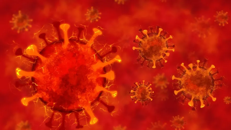 virus
