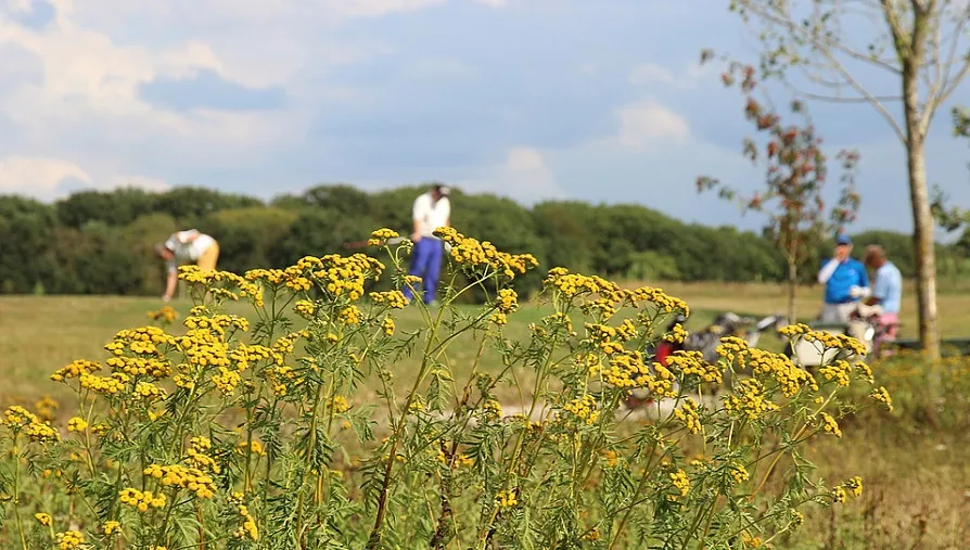 wandelroute prise bij 18e9f853f6