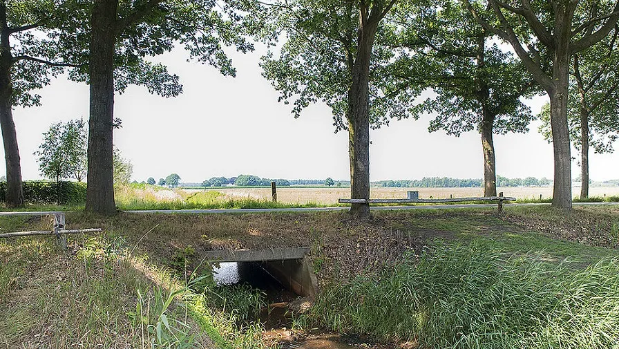 wijkevoort 85badde5b3
