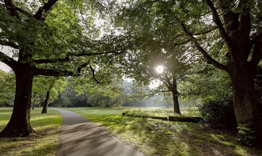 wilhelminapark