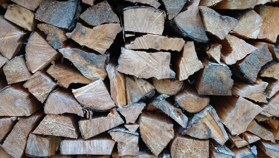 woods