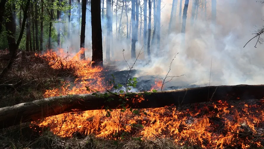 zeer grote brand moergestel
