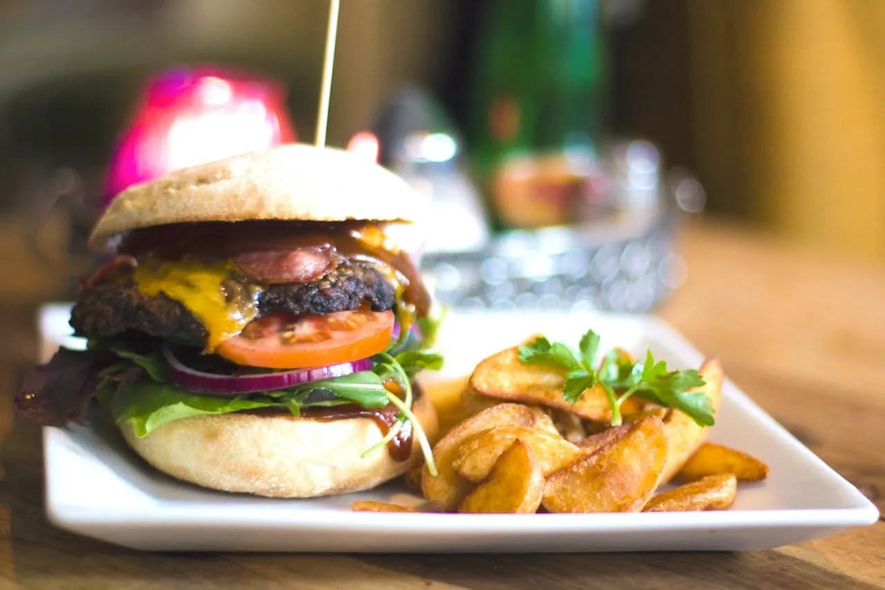 hamburger met friet sappig eten