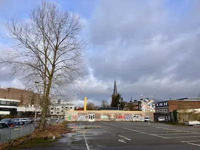 na de illegale kap van circa veertig bomen op het terrein van lidl aan de hofdijkstraat stratum bleef een boom staan