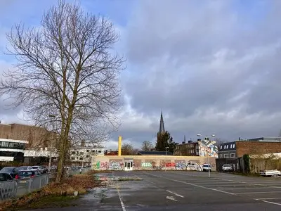 na de illegale kap van circa veertig bomen op het terrein van lidl aan de hofdijkstraat stratum bleef een boom staan