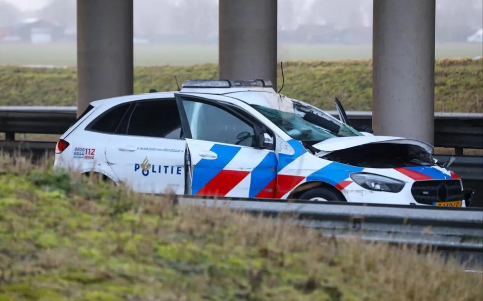 photo 6050838326081688342 y