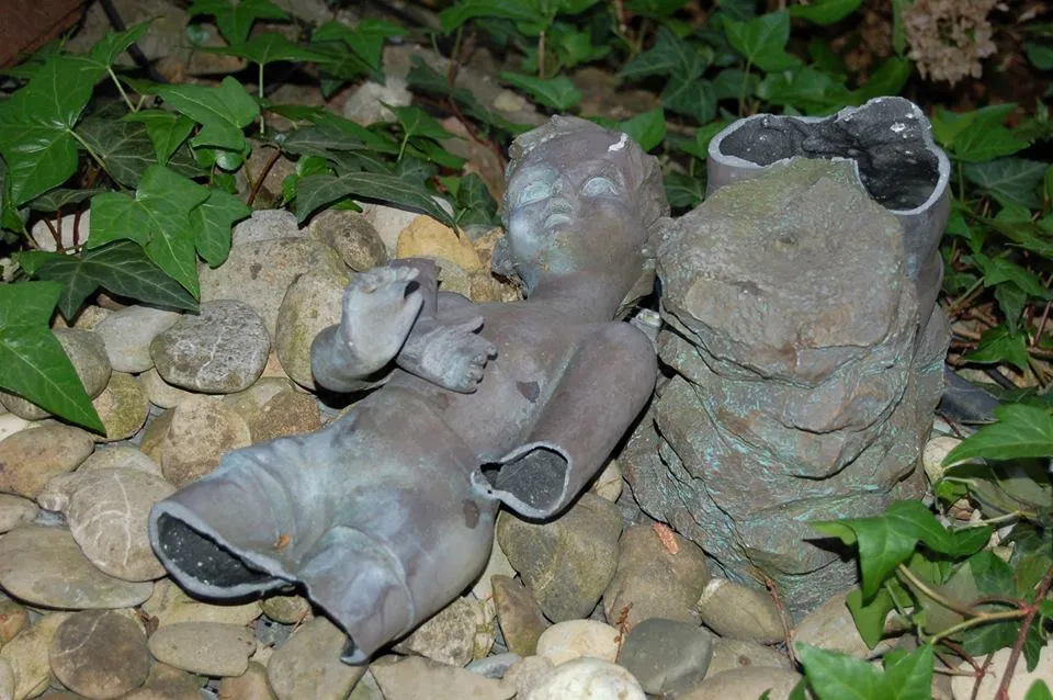 11057702 597946727007278 4535994929439458022 n