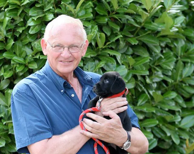 12243396 920094244747119 5857867053249227021 n