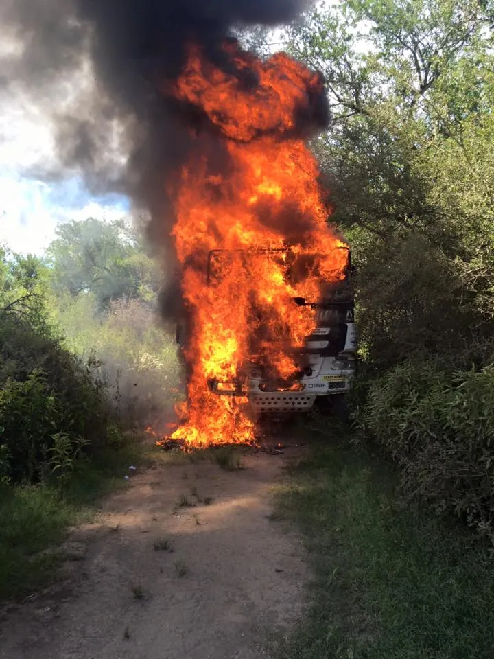 12510324 1060829623940601 104030816743111952 n