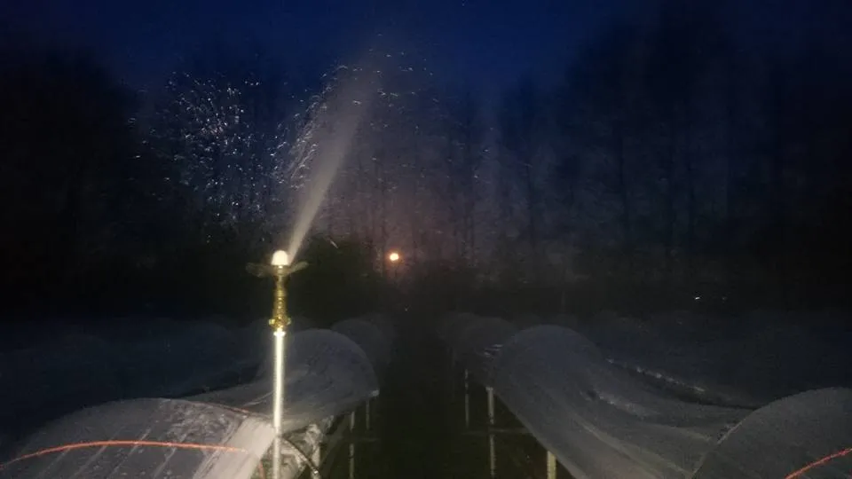 13015486 1101673743222633 1220343434526313670 n