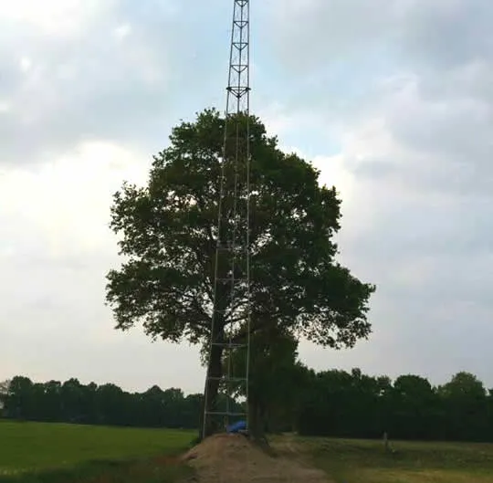 13237705 242960092733271 8742707596799345392 n