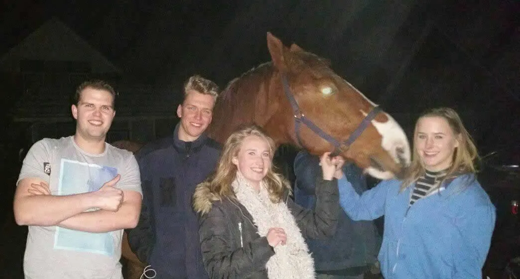 16112965 377784732584139 5035388466906119699 o