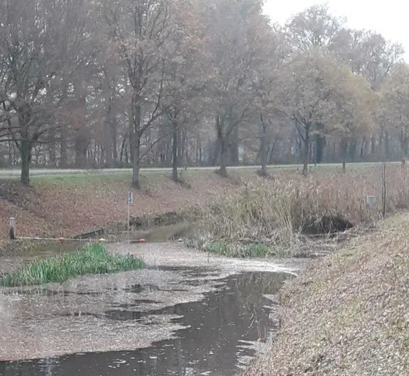 20181126 101734 resized e1552047002730