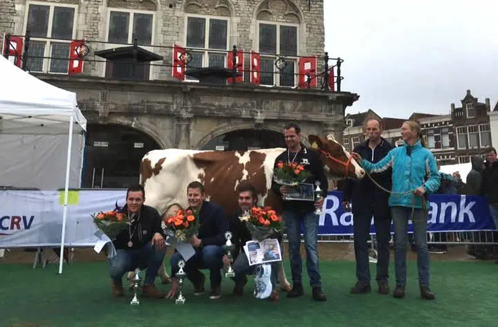 21743267 1379044162210757 3518476893677684621 n