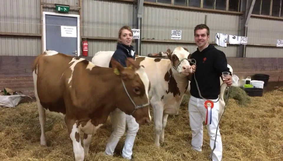 22815307 1415561388559034 188132340258634935 n