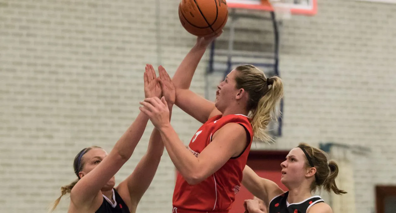 25188735 2284702204888606 1619209341143217932 o