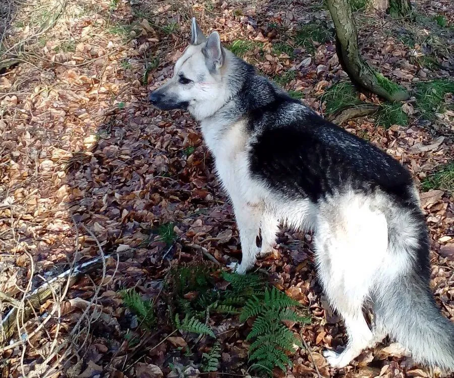 27368770 975977559220337 6693141296697721591 o