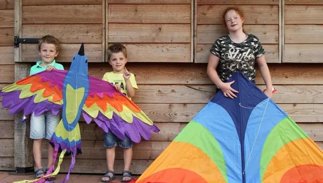 37526103 1852626138125850 2005433269746663424 n e1532170163744