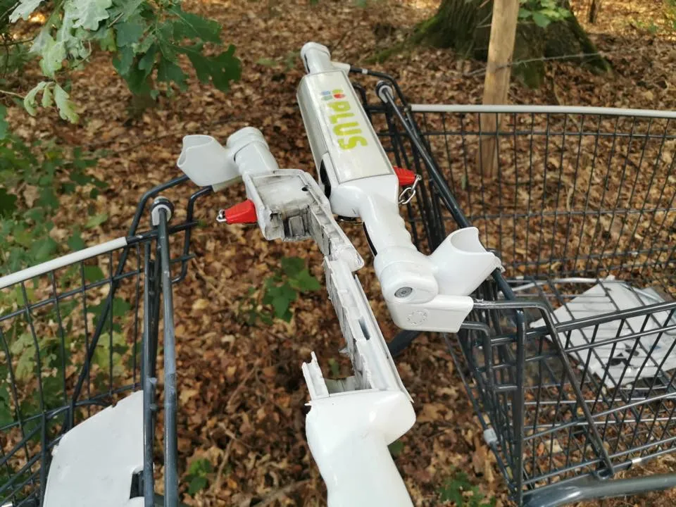 66621872 2247598425550978 8419603971521380352 n