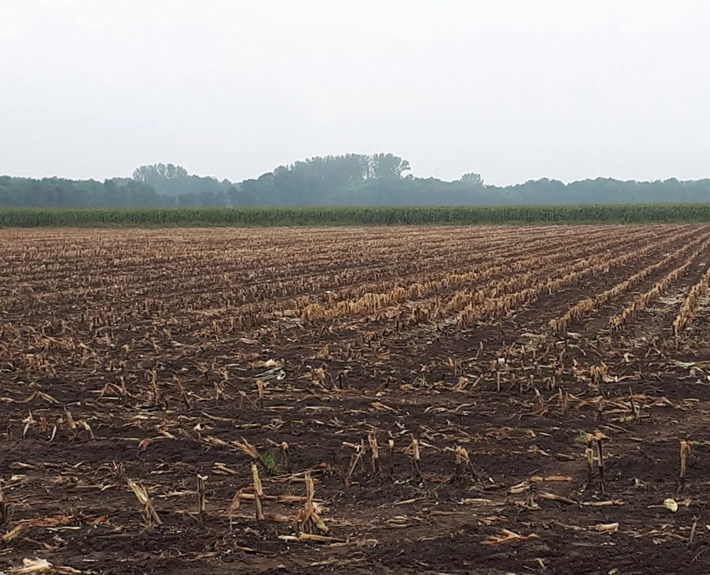 70711895 2458063090943302 7737587500201279488 o e1569318085825