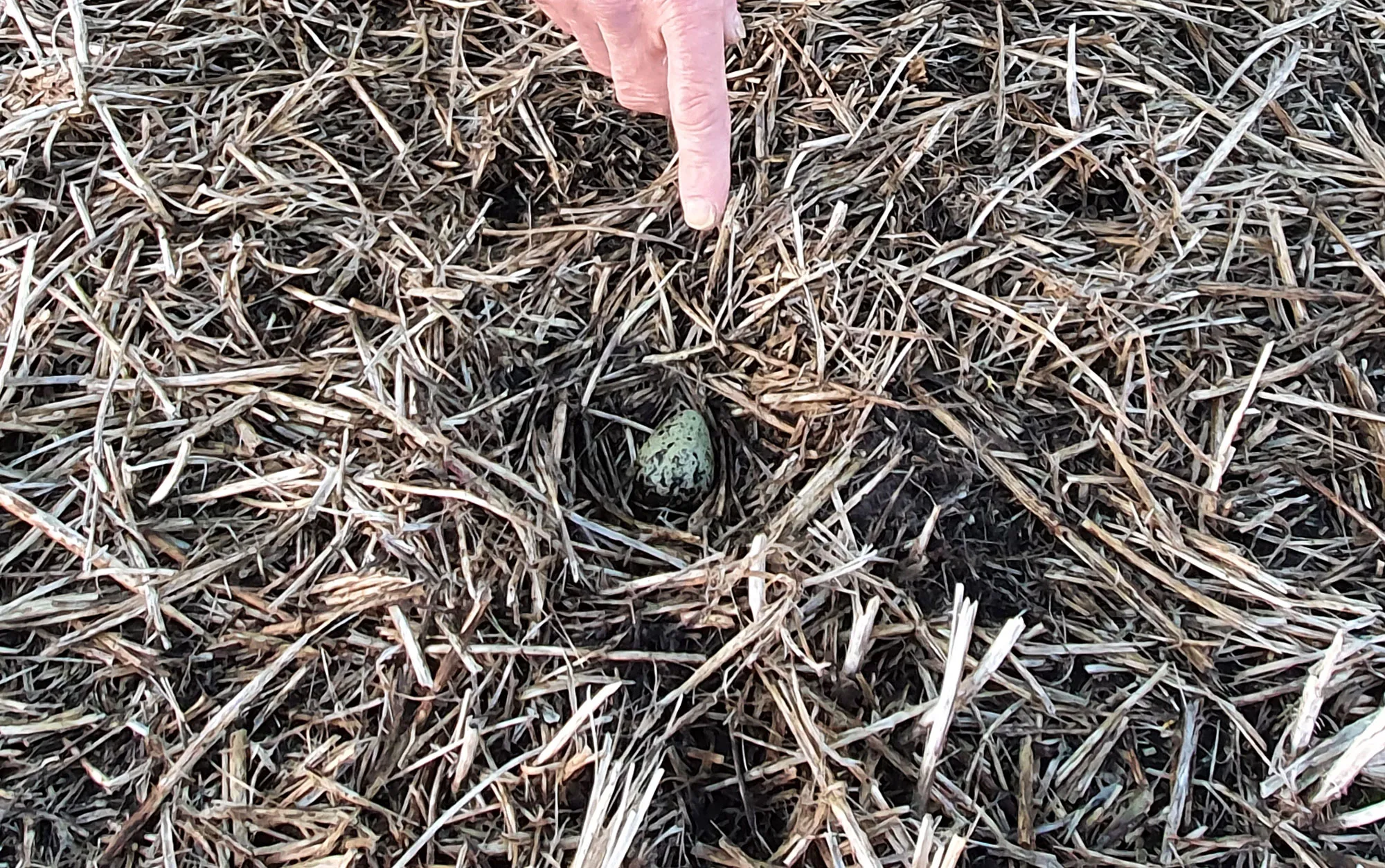 89749244 877682982702358 525805912309366784 o