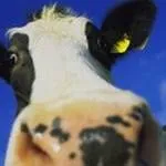 aeix9u1h4w3btwbp6x0oc8gxk 81741