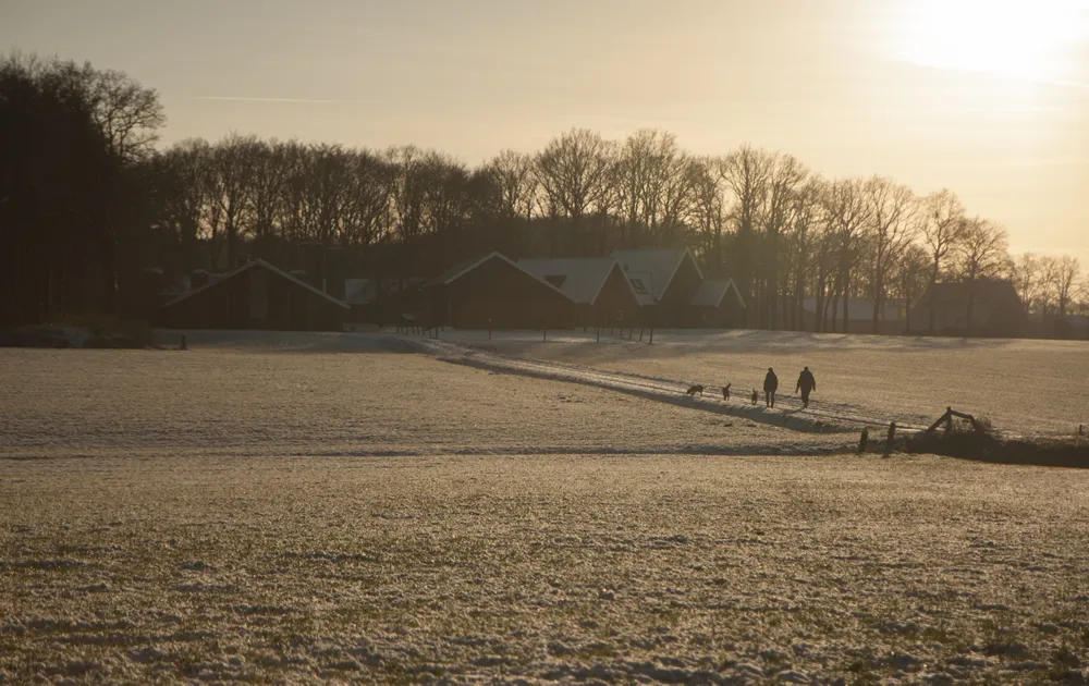 agdu32g8teverwm6oqbhs163k mander