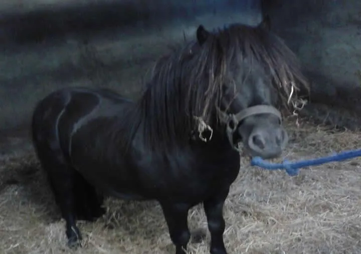 ahid80qycggj0cklqixemg2ep 1056875410202291471994611716885951n