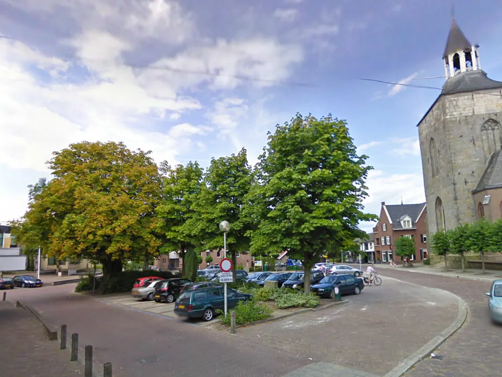 avsr29ghxr1hepduboozxy3ul kastanjeboom