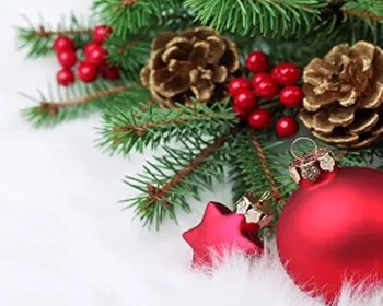 b4011iuqvrmha9g6r69qi4w2j 193116