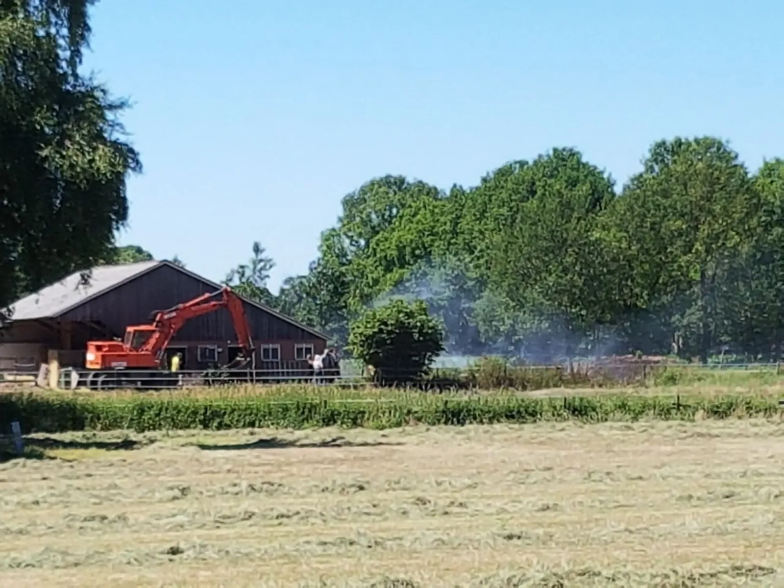 b54cf020 5131 4adb a9c0 1d8e972decc6