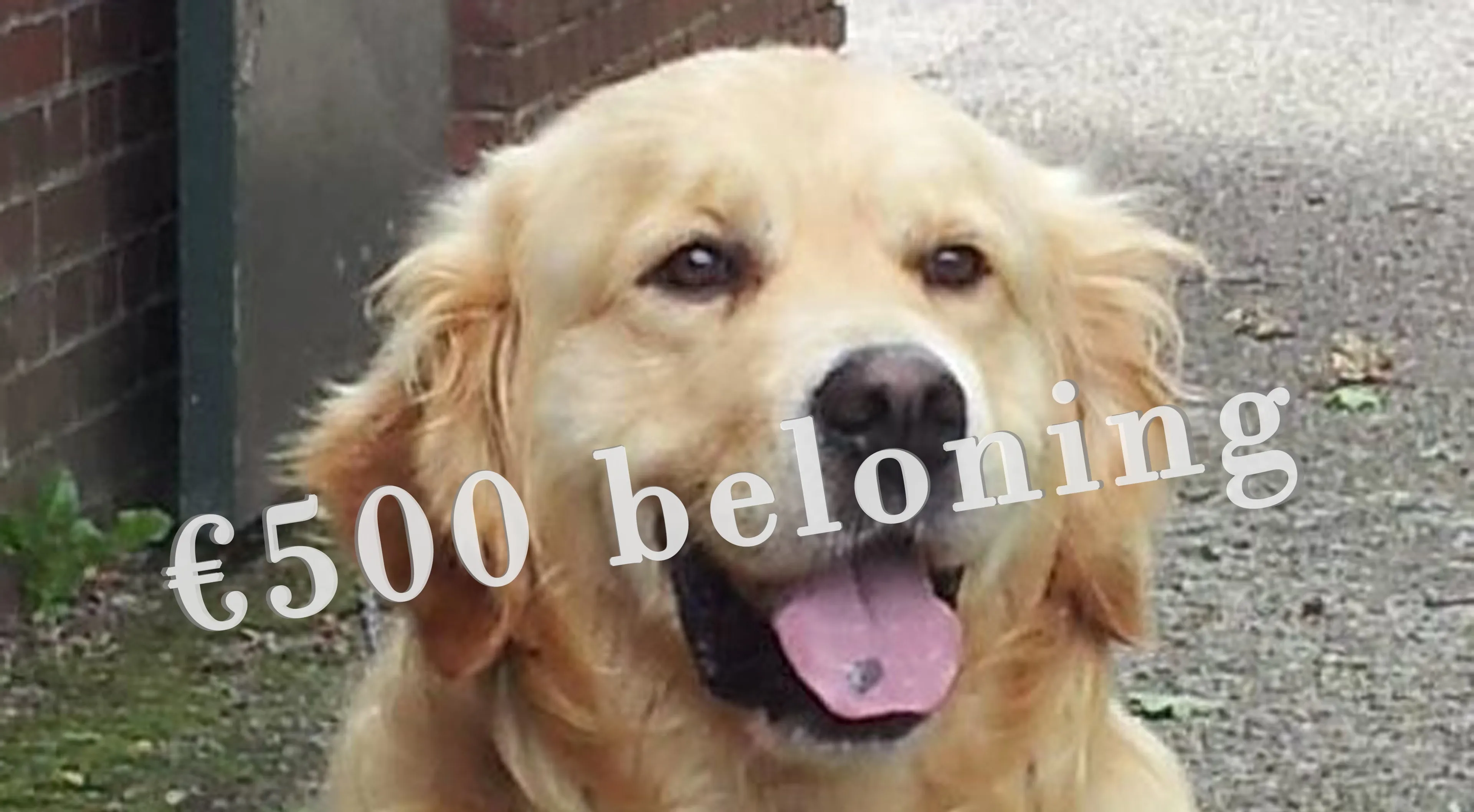 biko met kenmerk zwarte vlek op zn tong1