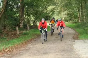 boo40r222q9d39gu9de1t61g2 91071