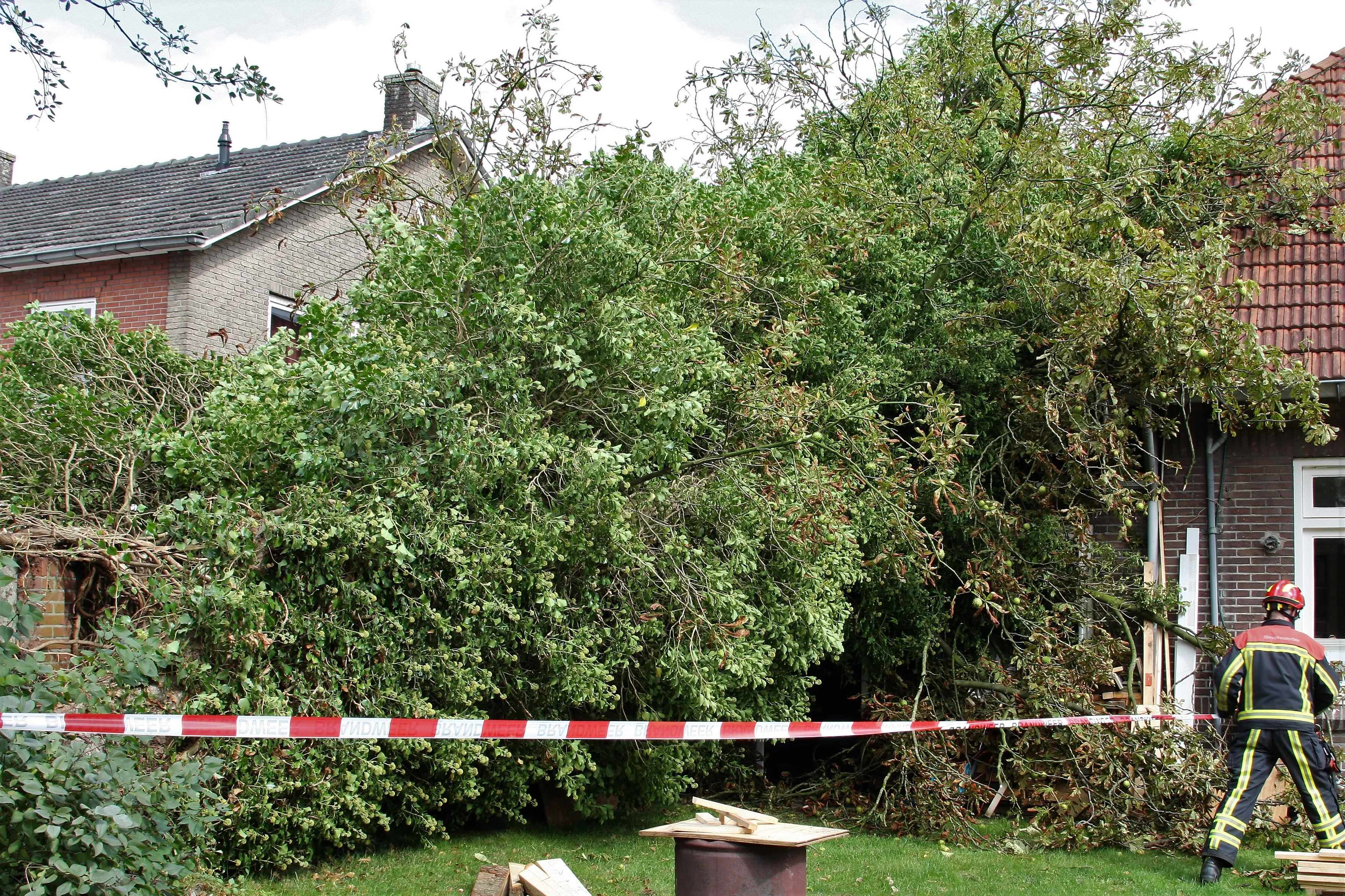 boom op woning grotestraat tubbergen foto clemens brughuis 1