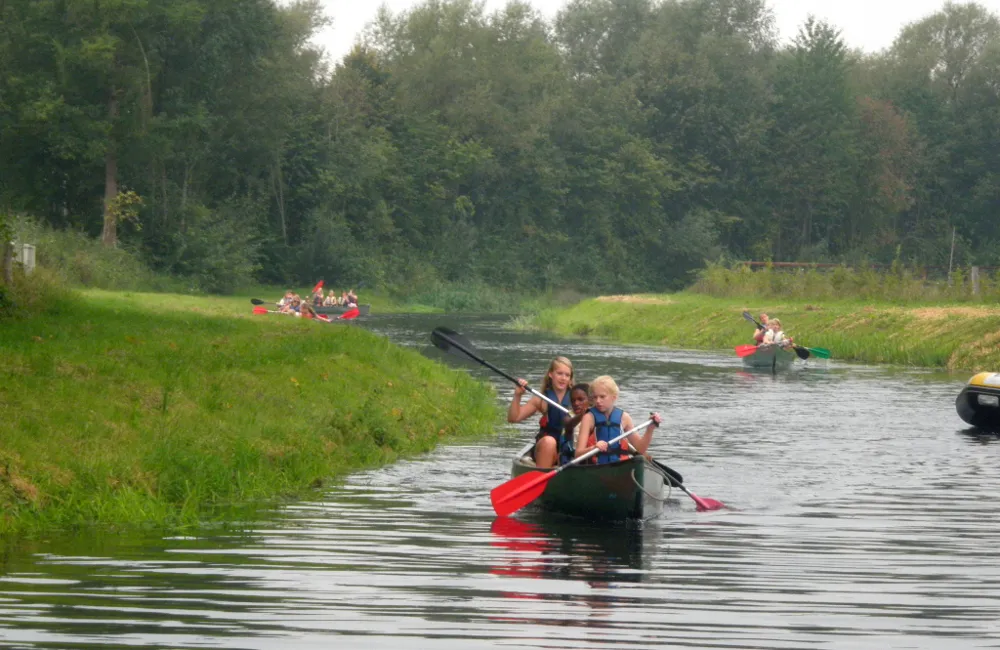 bxtqjrpapfvpxuyd3budsa5fg p9060285